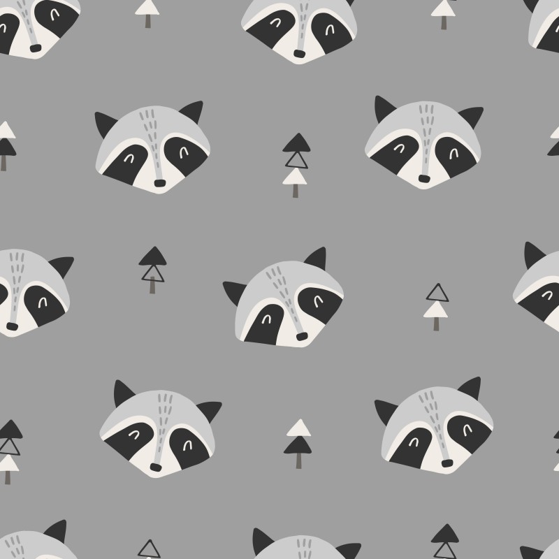 Raccoon