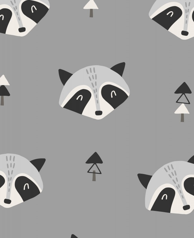 Raccoon