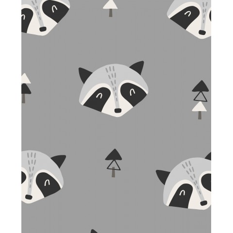 Raccoon