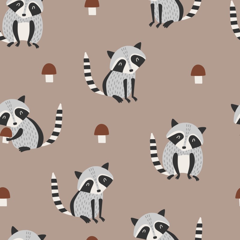 Raccoon
