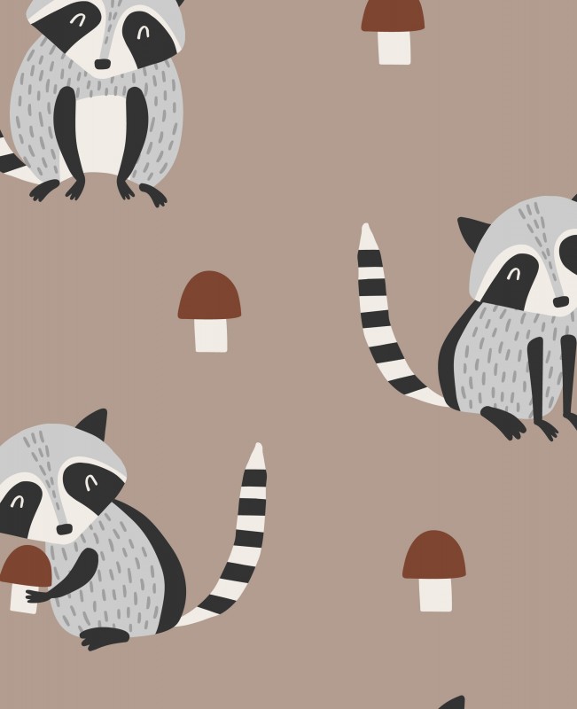 Raccoon