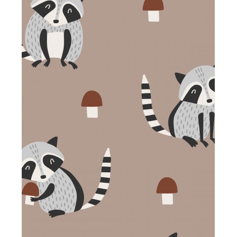 Raccoon